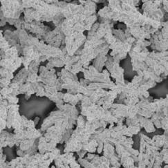 Vue par un microscope : poudre de cuivre 