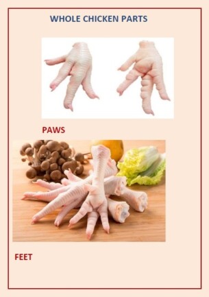 Patte de poule