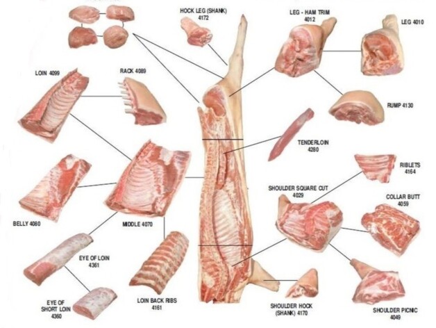 Eclaté de porc, appellation porcine