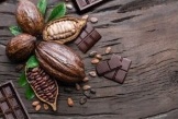 Image artistique représentant des cabosses de cacao sur un lit de feuilles vertes, des fèves de cacao et une tablette de chocolat